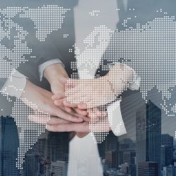Your Product And Services To Your Local Market